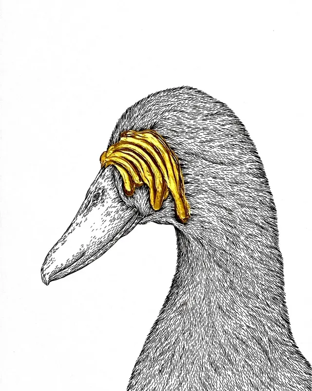 Imagine × Duck
