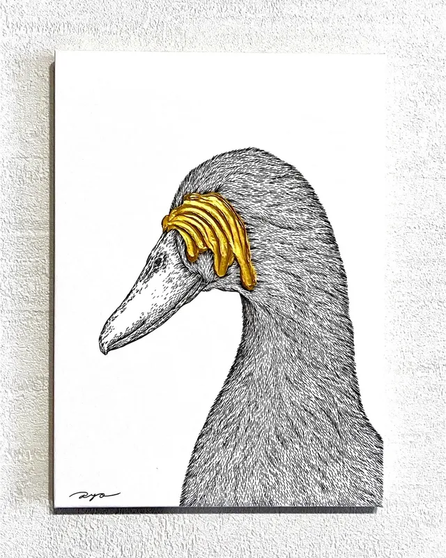 Imagine × Duck slider-0