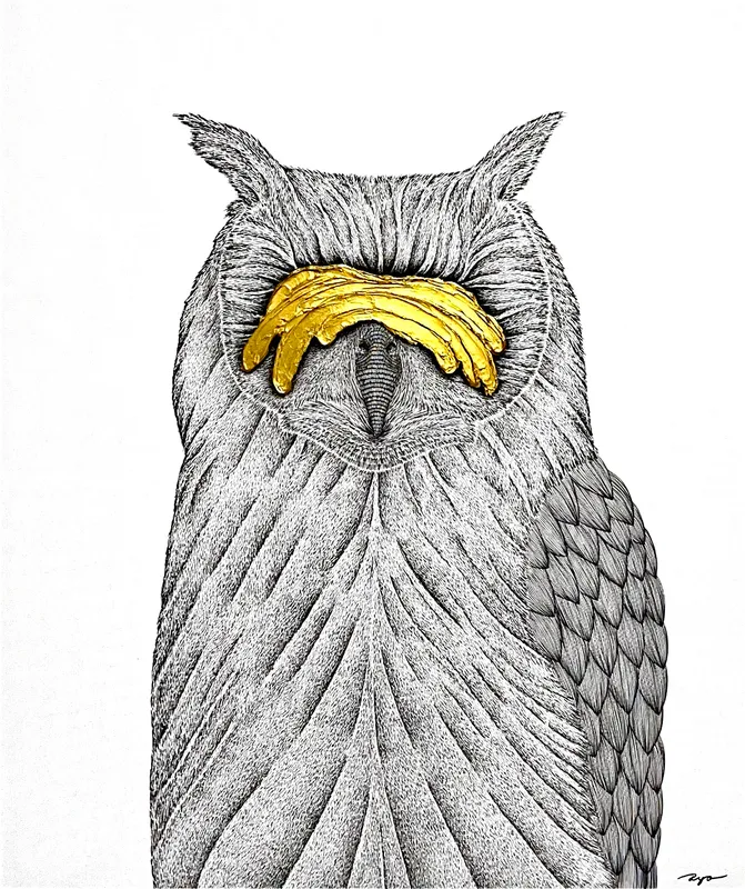 Imagine × Owl