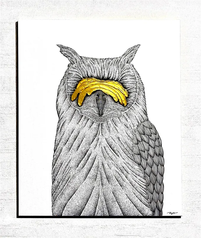 Imagine × Owl slider-1
