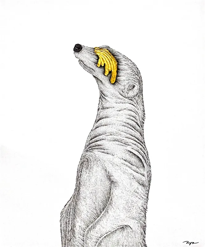 Imagine × Meerkat