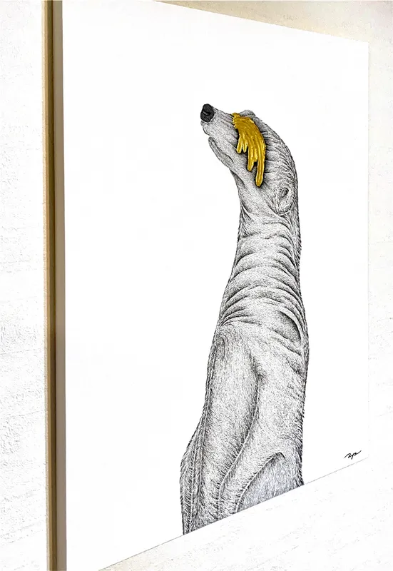 Imagine × Meerkat slider-2