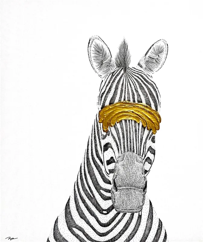 Imagine × Zebra