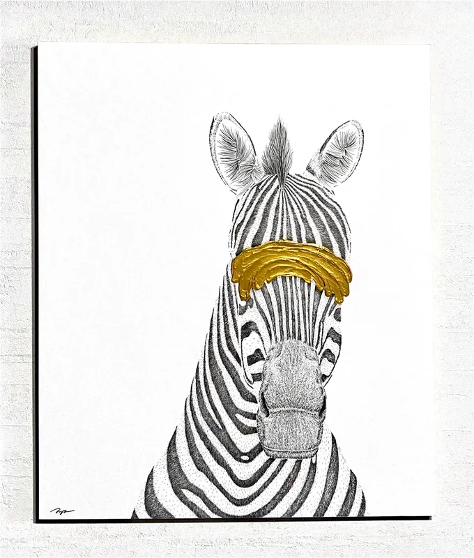 Imagine × Zebra