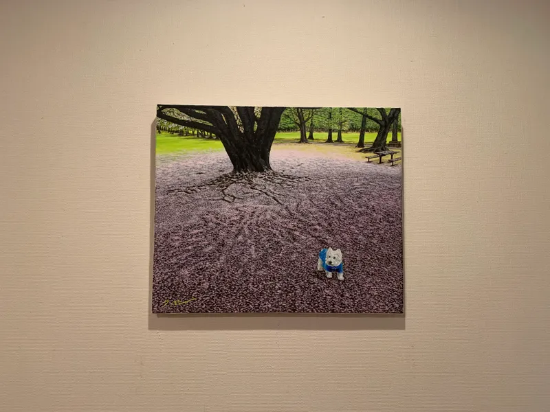 桜のお散歩