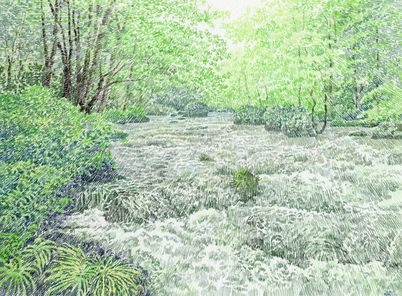 せせらぎの景