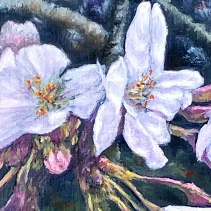 Sakura