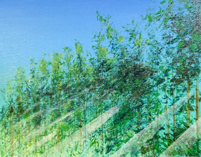 竹林の朝