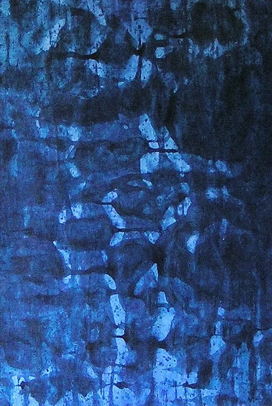 BLU/ZONE/2025/08/15/D
