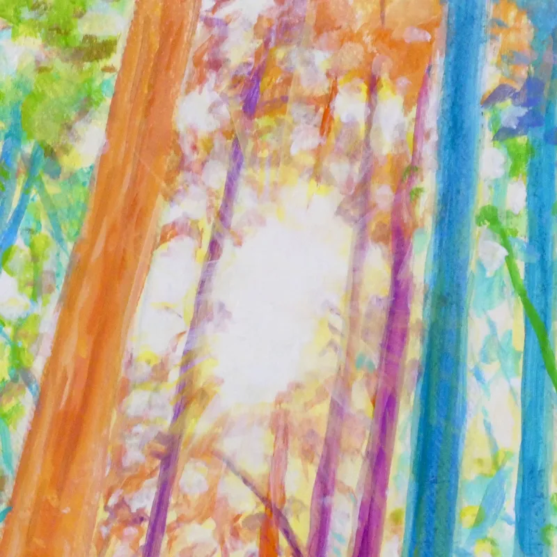 色彩の森 青い鳥 slider-4