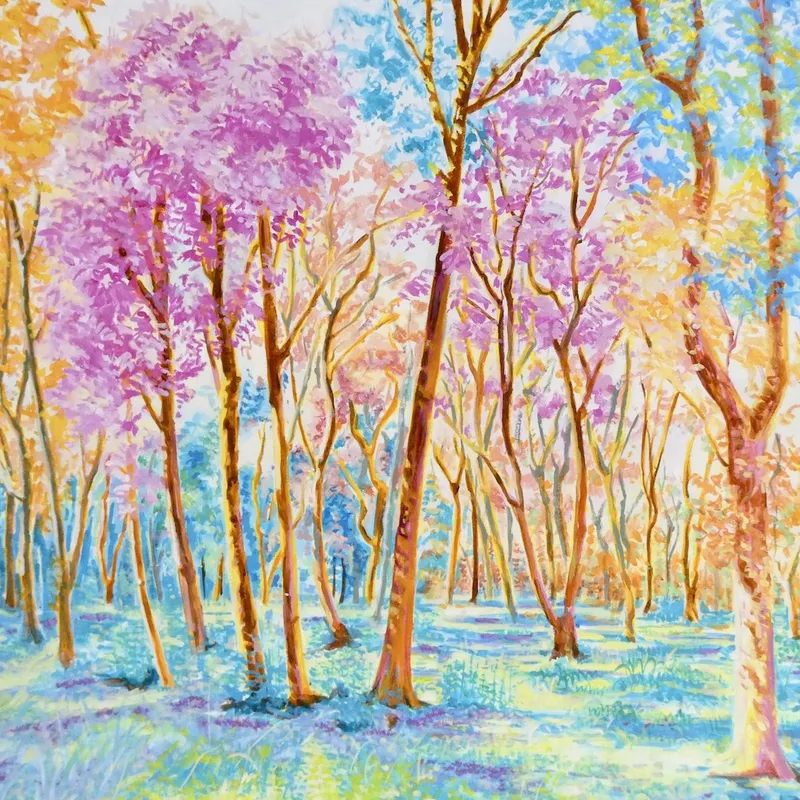 色彩の森　木々の中で