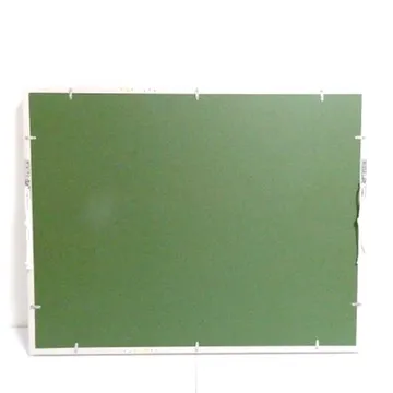 色彩の森　木々の中で