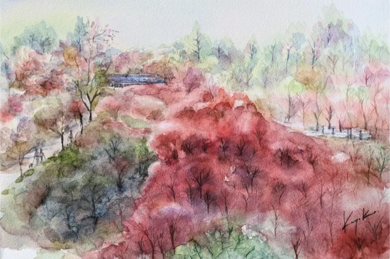 東福寺 紅葉