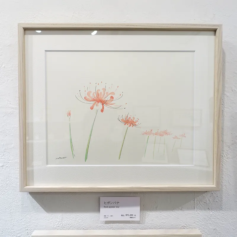 ヒガンバナ　Red spider lily