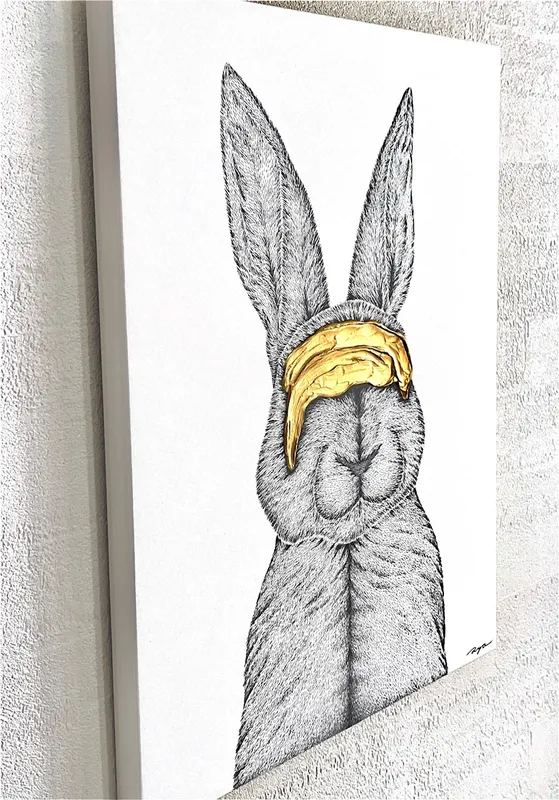 Imagine × Rabbit slider-2