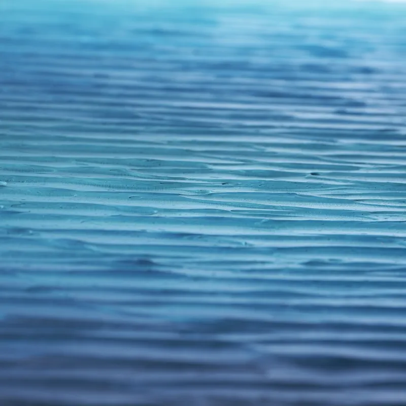 無何有（M-#87）