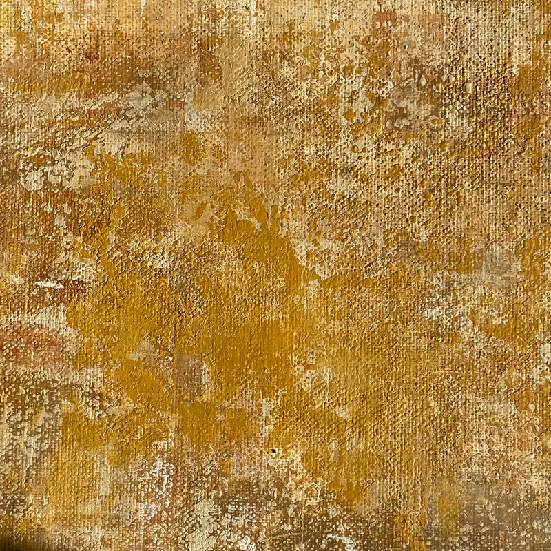 色づく光  Where Light Turns #01