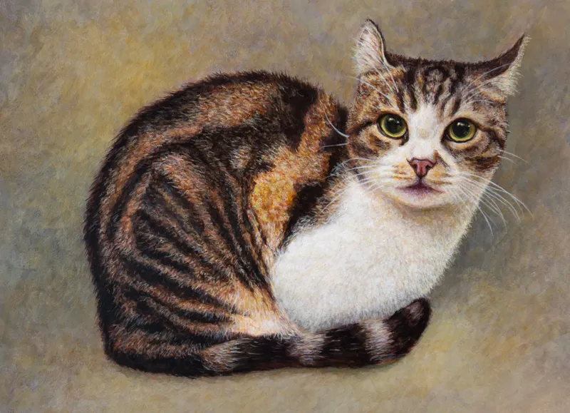 Kitten's Thoughts（子猫の思い）