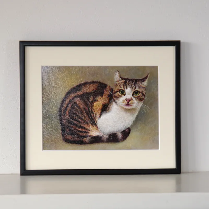 Kitten's Thoughts（子猫の思い）