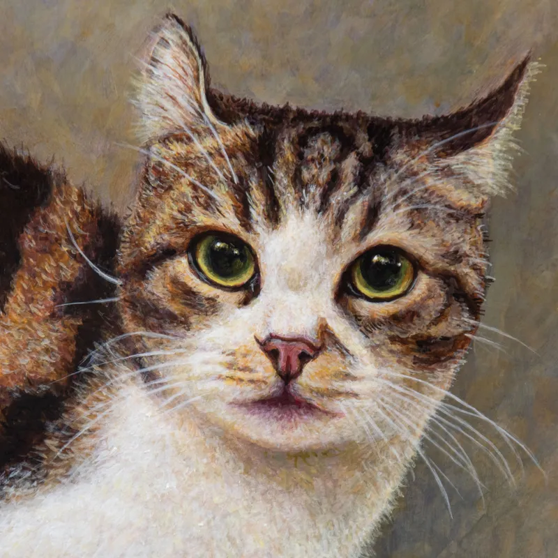 Kitten's Thoughts（子猫の思い）