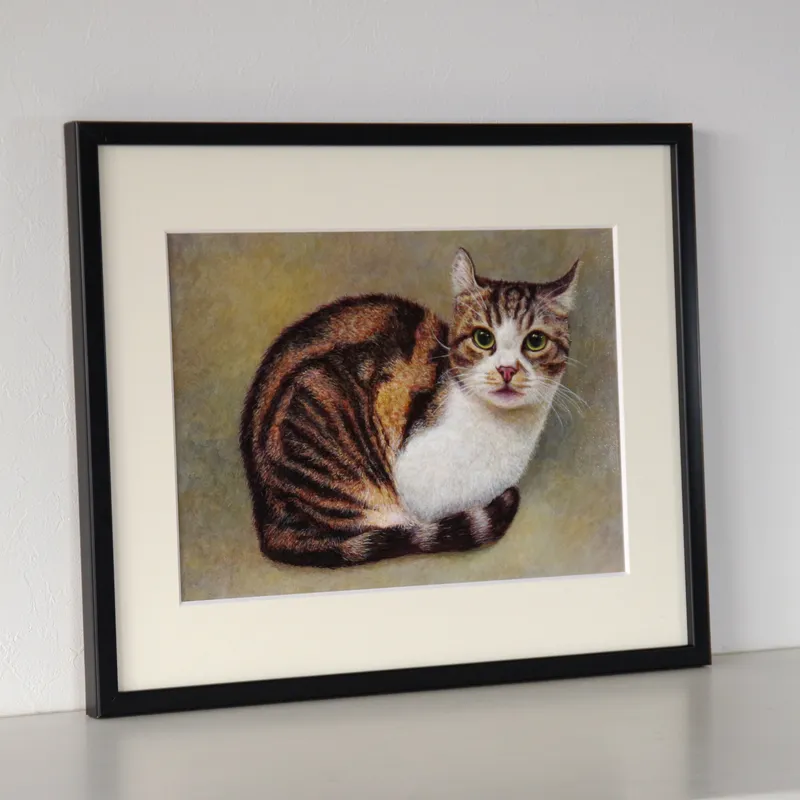 Kitten's Thoughts（子猫の思い）