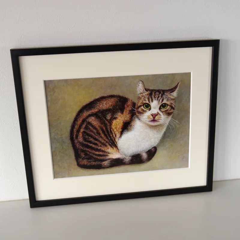 Kitten's Thoughts（子猫の思い）