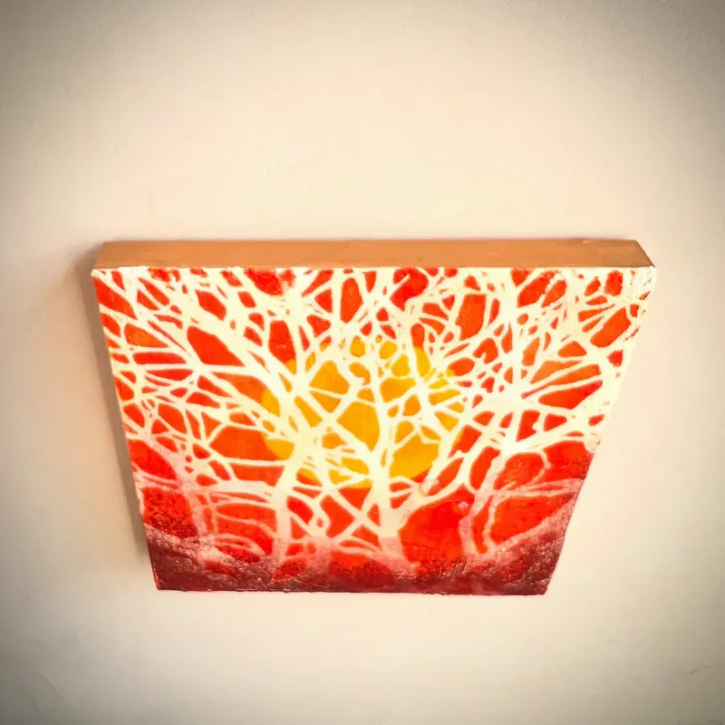 凍光（とうこう）の森