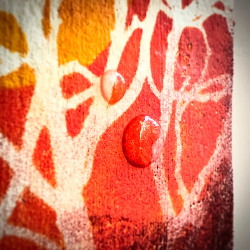 凍光（とうこう）の森