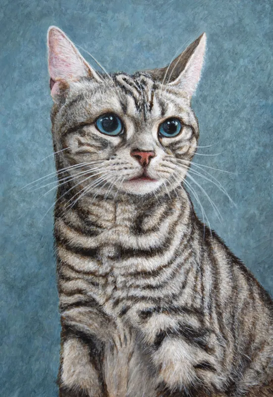 Glorious Tabby（グローリアス・タビィ）