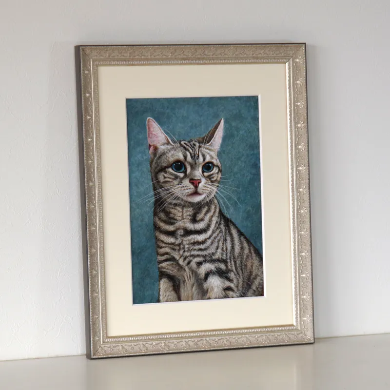 Glorious Tabby（グローリアス・タビィ）