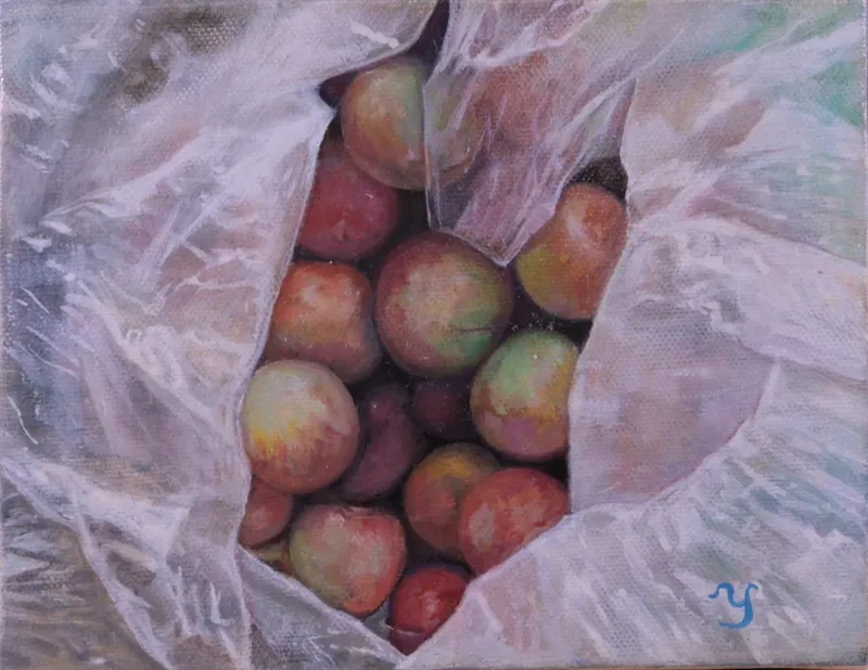 袋の中のプラム