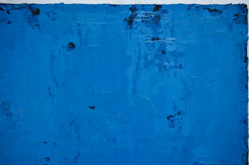 金魚鉢の外の島