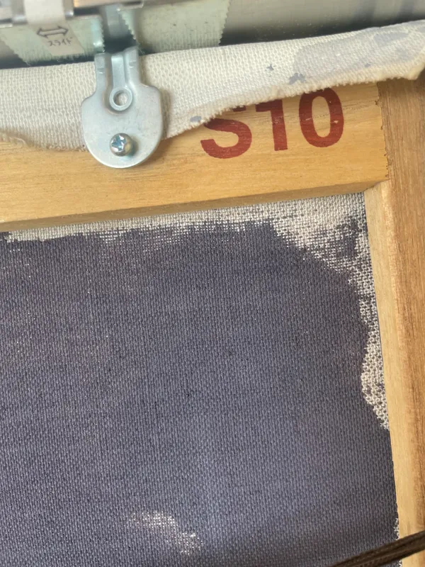 色のナル都市/マグノリアノウタ