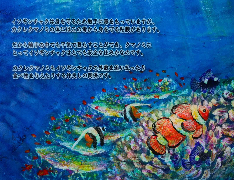 令和装 海之絵本 : イソギンチャクとカクレクマノミ