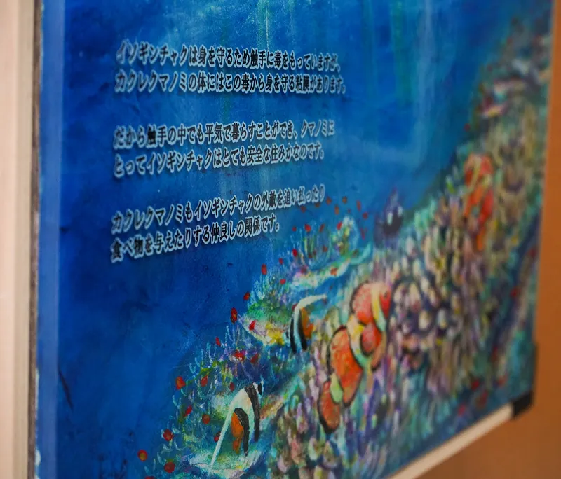 令和装 海之絵本 : イソギンチャクとカクレクマノミ