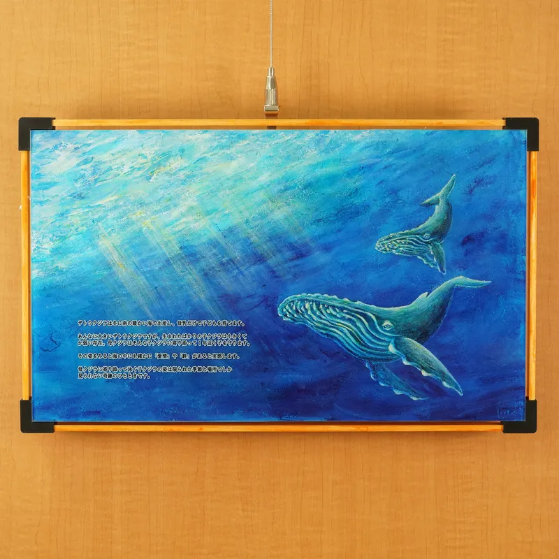 令和装 海之絵本 : ザトウクジラ親子