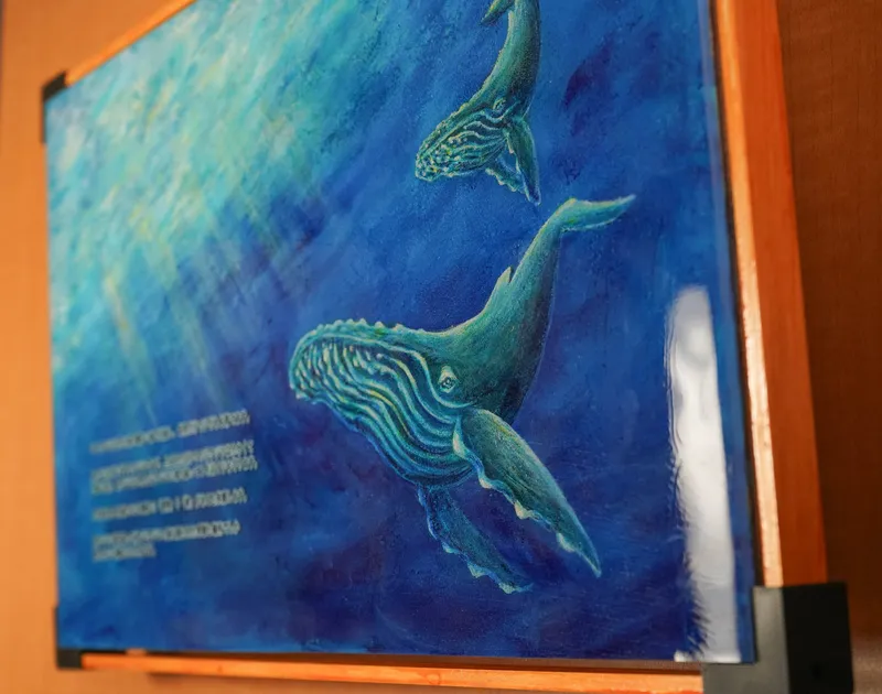 令和装 海之絵本 : ザトウクジラ親子