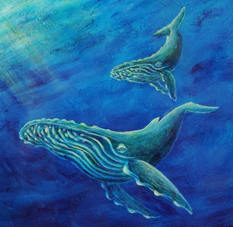 令和装 海之絵本 : ザトウクジラ親子