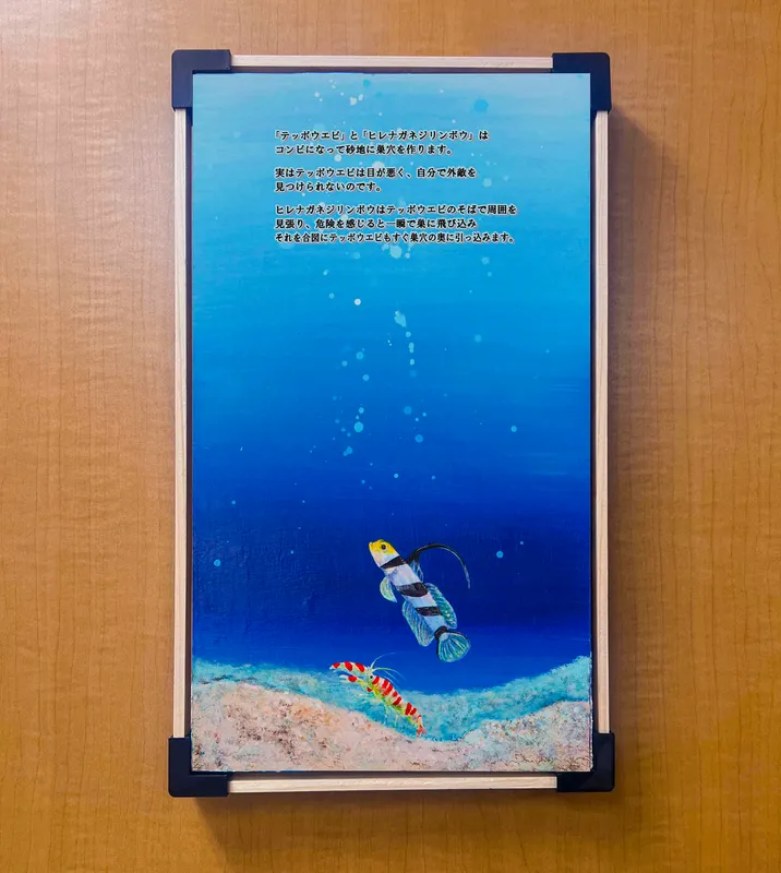 令和装 海之絵本 : テッポウエビとヒレナガネジリンボウ