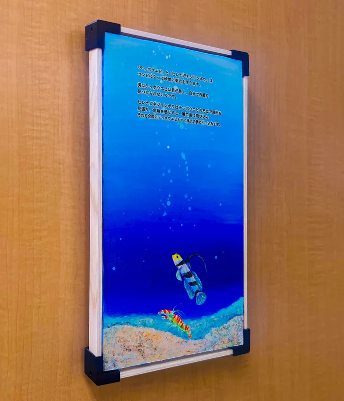 令和装 海之絵本 : テッポウエビとヒレナガネジリンボウ