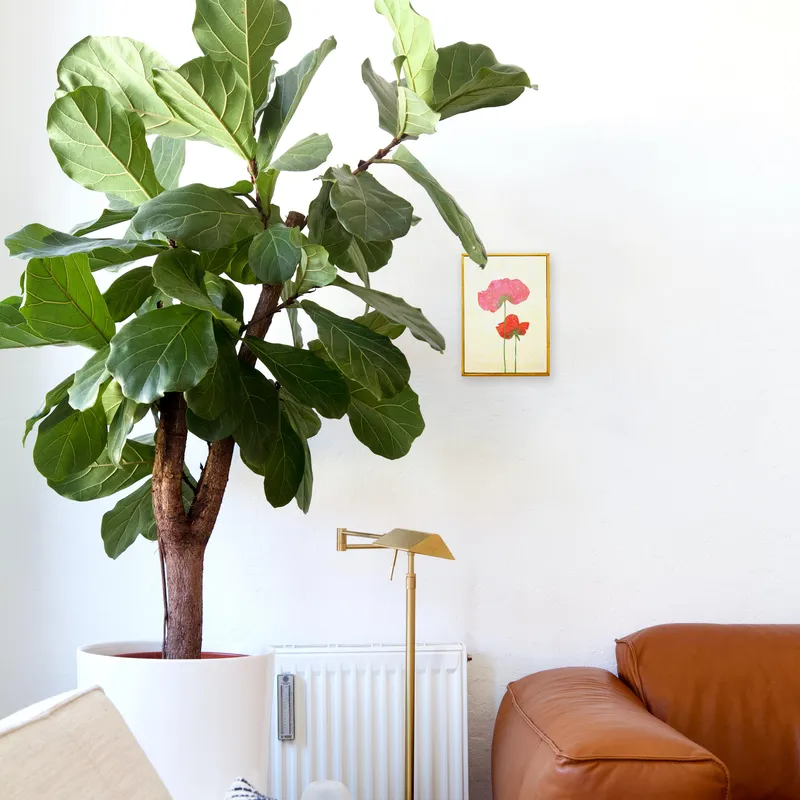 Breath of Two No.284