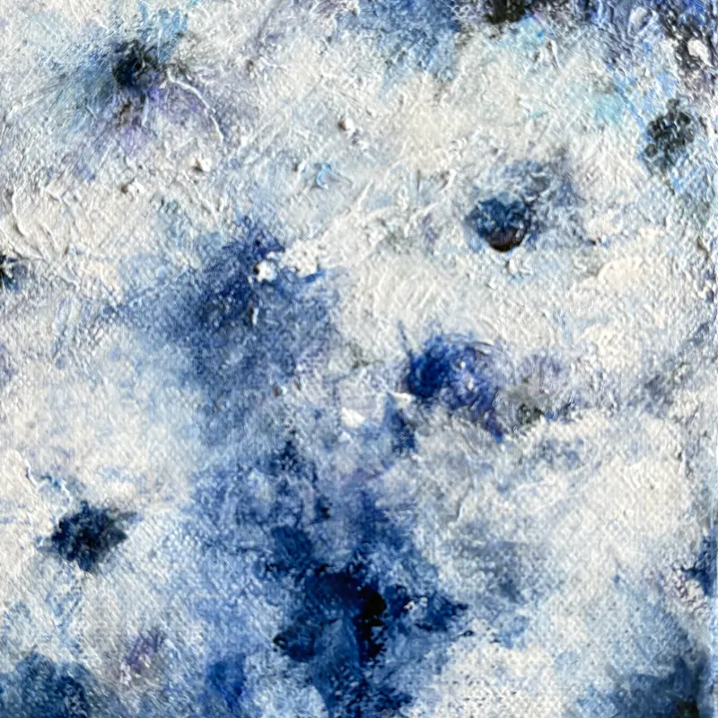 静謐の葵 — Anemone in Stillness