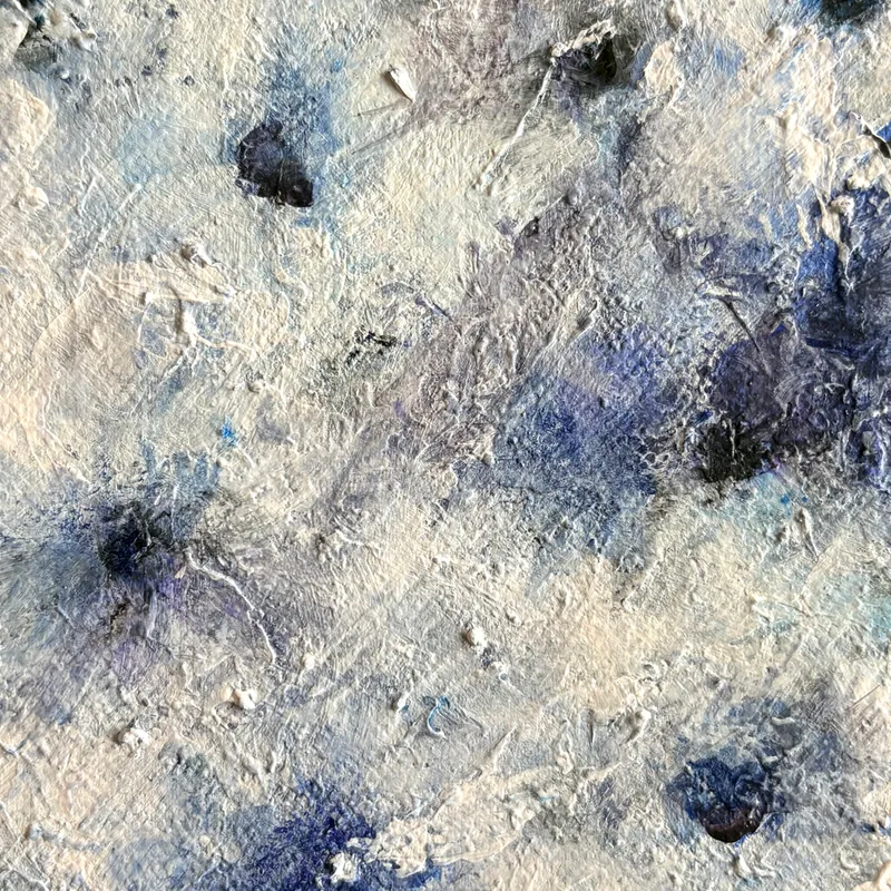 静謐の葵 — Anemone in Stillness