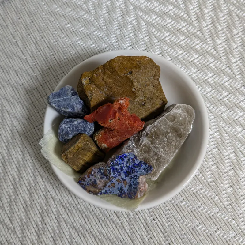 登っておいで！