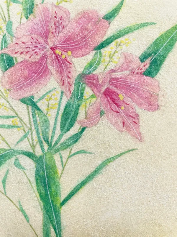 百合水仙〈アルストロメリア〉