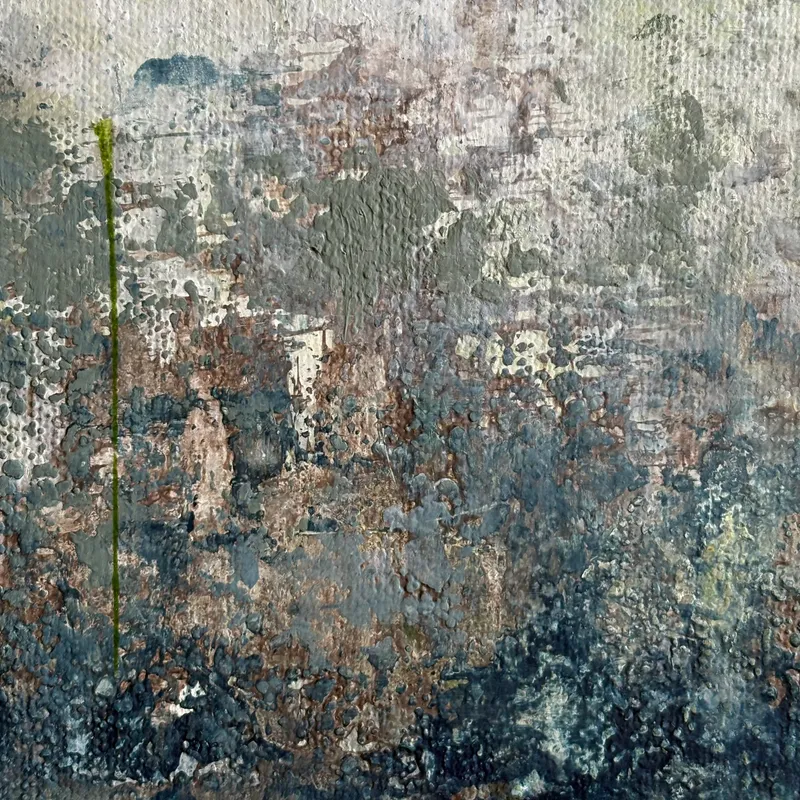 初夏の気配2026 〜Whiff of summer beginning