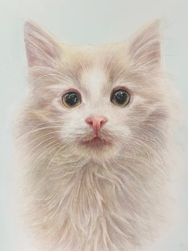はじめての季節