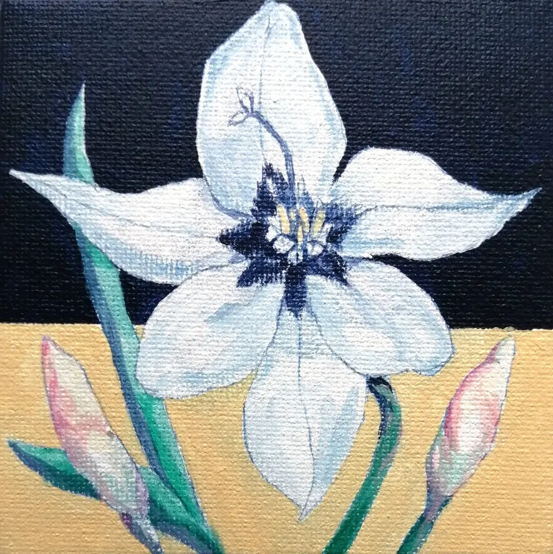 two-tone 　花２