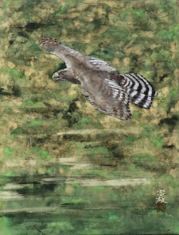 クマタカ飛翔