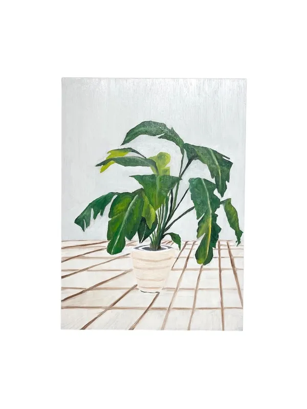 Plants